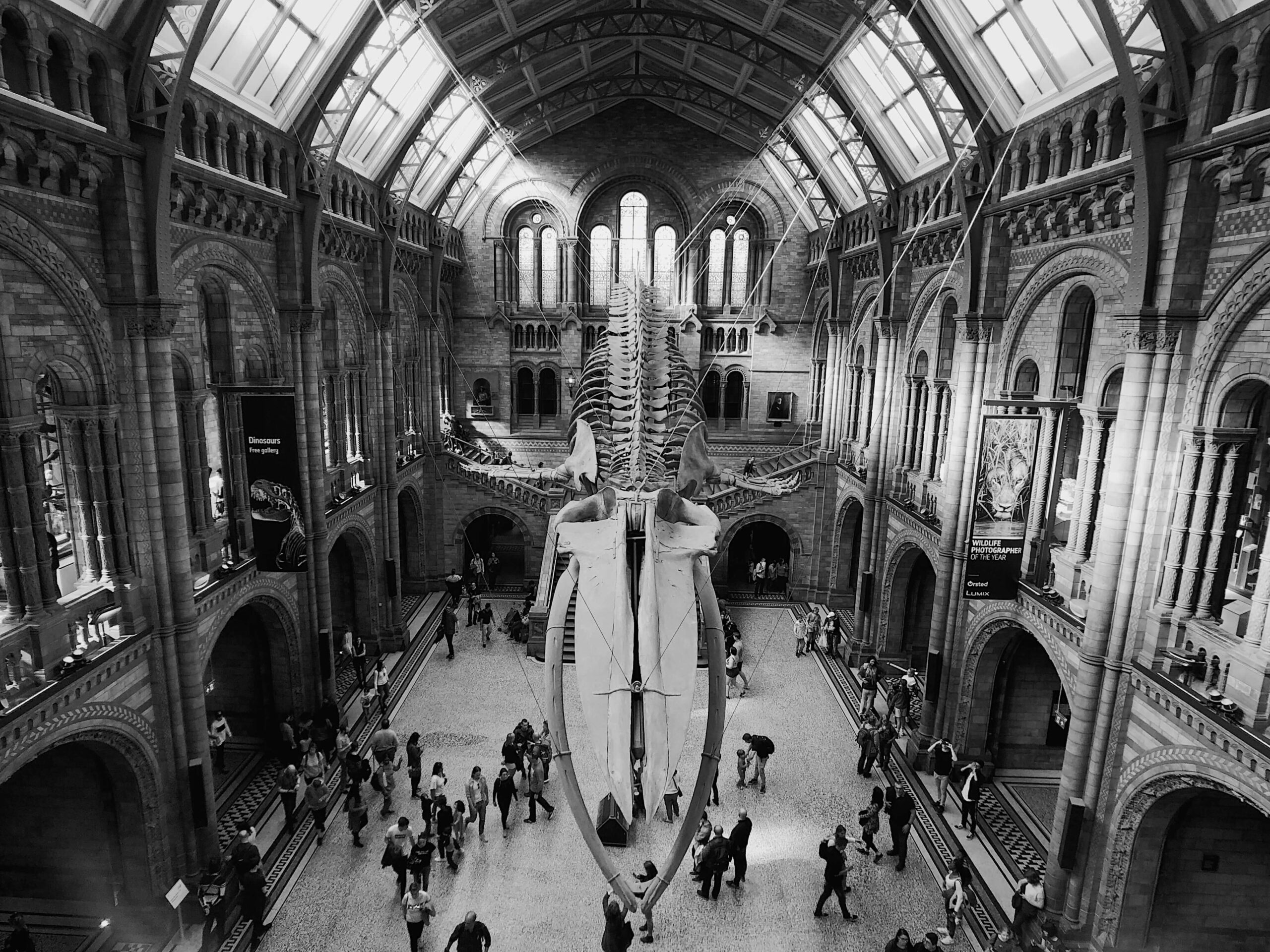The-Natural-History-Museum